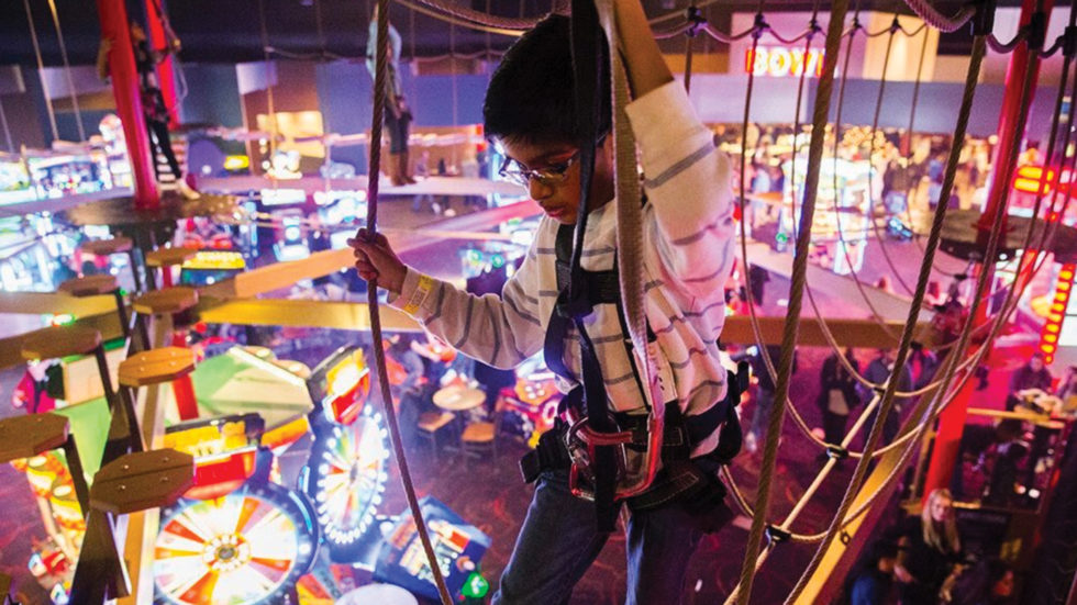 indoor-high-rope-course-team-building-activities-near-me